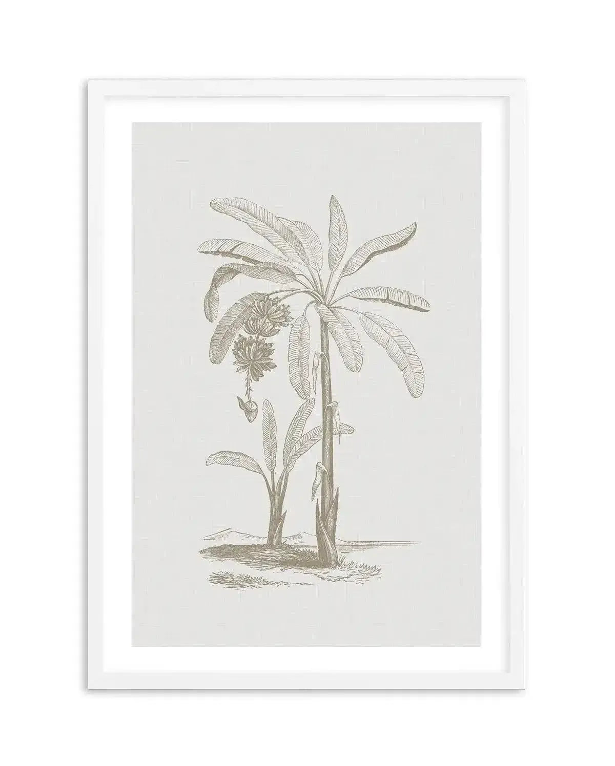 Vintage Palm I Art Print-PRINT-Olive et Oriel-Olive et Oriel-A5 | 5.8" x 8.3" | 14.8 x 21cm-White-With White Border-Buy-Australian-Art-Prints-Online-with-Olive-et-Oriel-Your-Artwork-Specialists-Austrailia-Decorate-With-Coastal-Photo-Wall-Art-Prints-From-Our-Beach-House-Artwork-Collection-Fine-Poster-and-Framed-Artwork