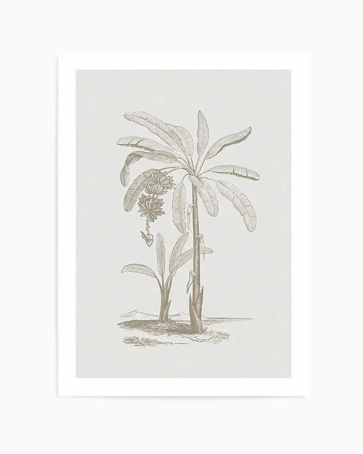 Vintage Palm I Art Print from Olive et Oriel where you can shop wallpaper and artworks online