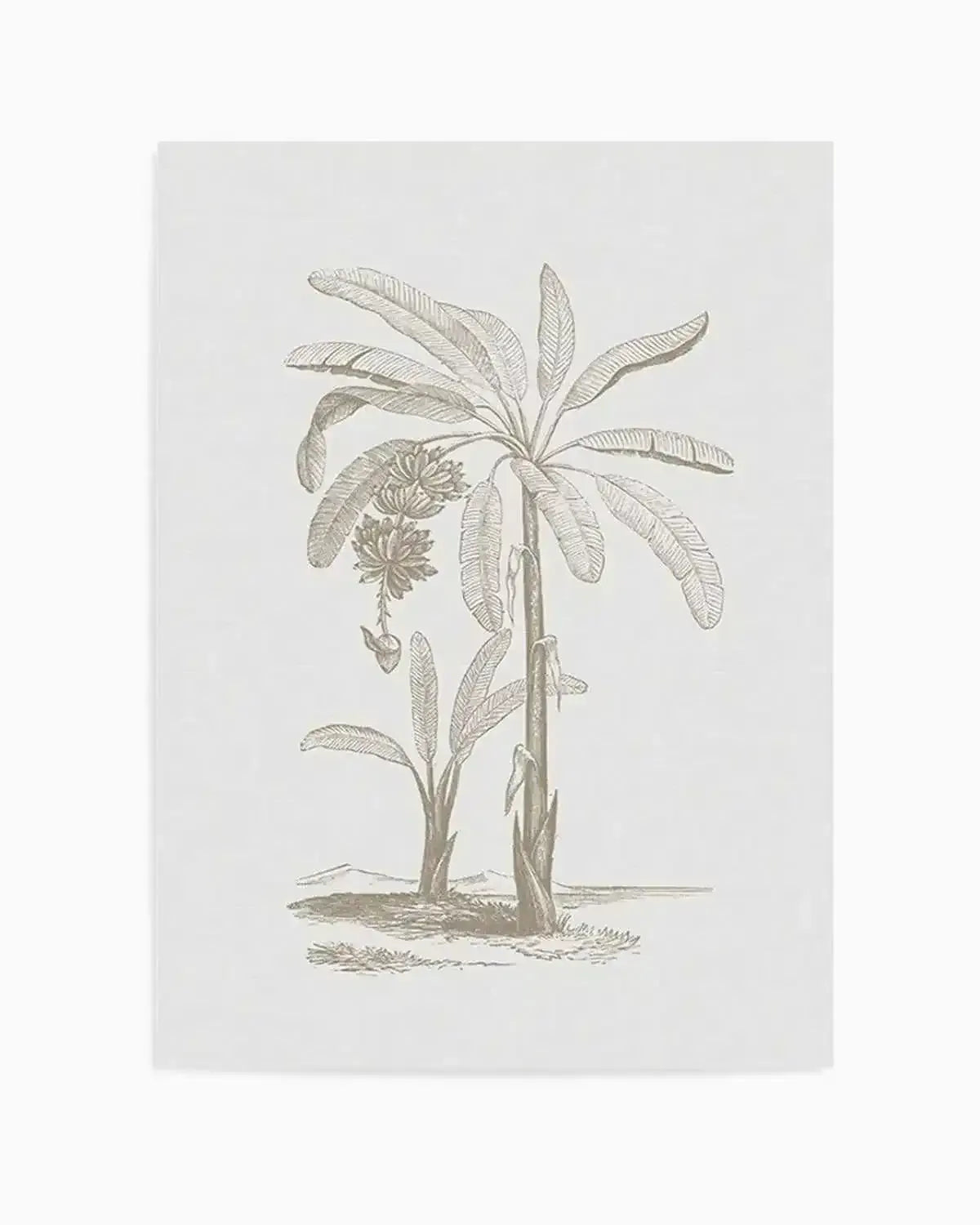 Vintage Palm I Art Print from Olive et Oriel where you can shop wallpaper and artworks online