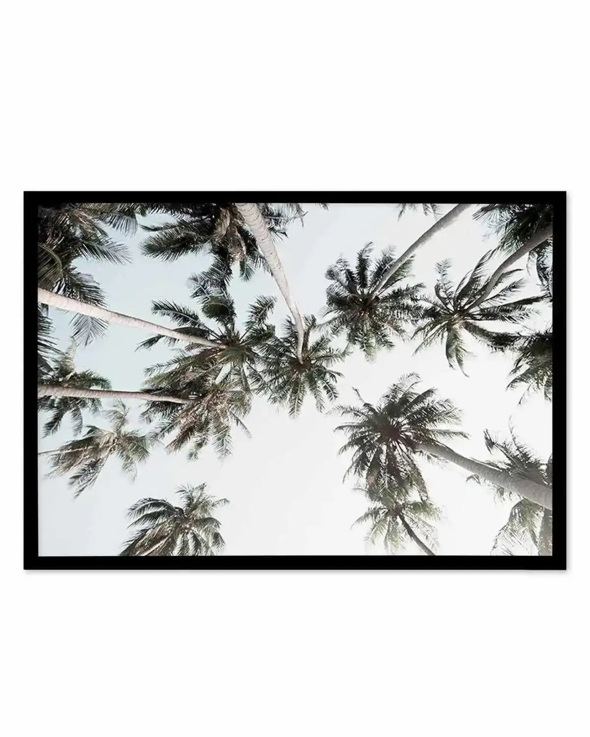 Vintage Palms LS Art Print from Olive et Oriel where you can shop wallpaper and artworks online