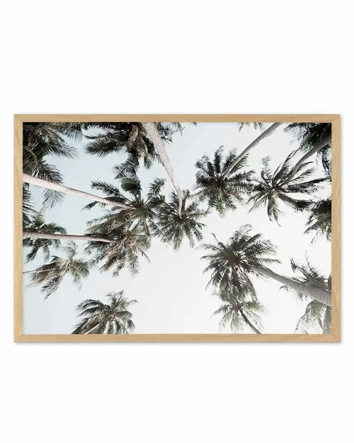 Vintage Palms LS Art Print from Olive et Oriel where you can shop wallpaper and artworks online