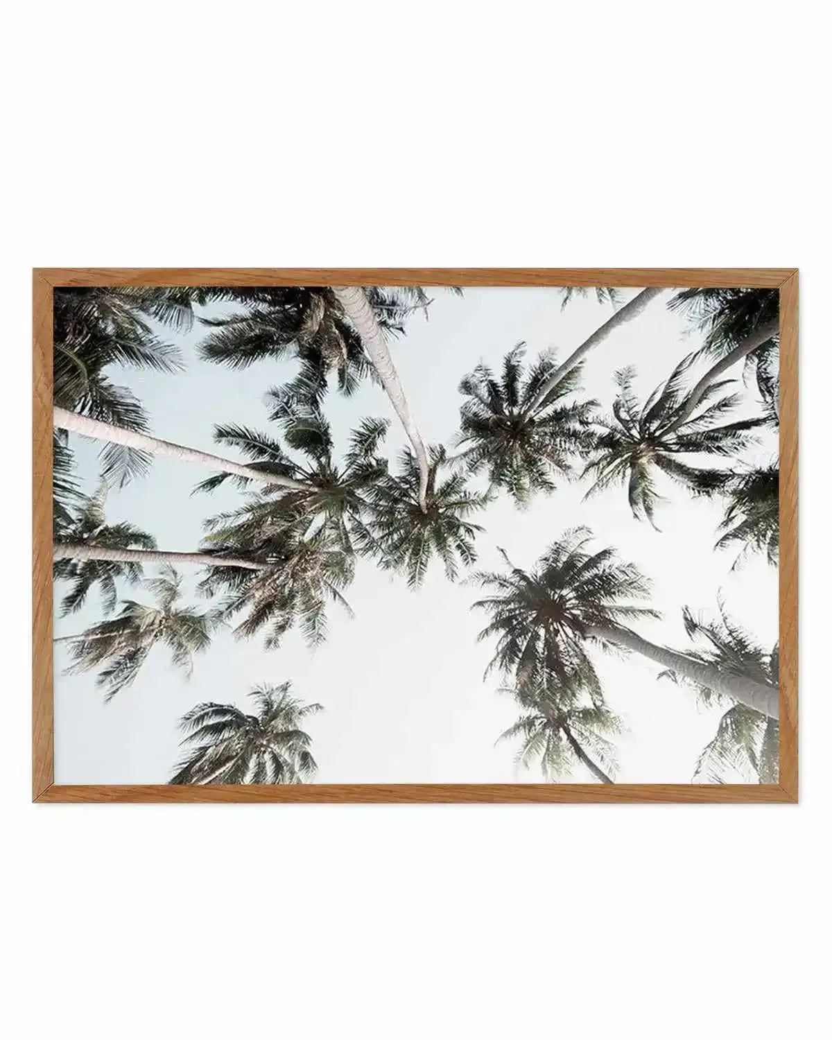 Vintage Palms LS Art Print from Olive et Oriel where you can shop wallpaper and artworks online