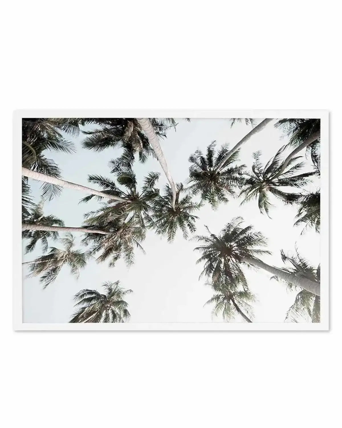 Vintage Palms LS Art Print from Olive et Oriel where you can shop wallpaper and artworks online