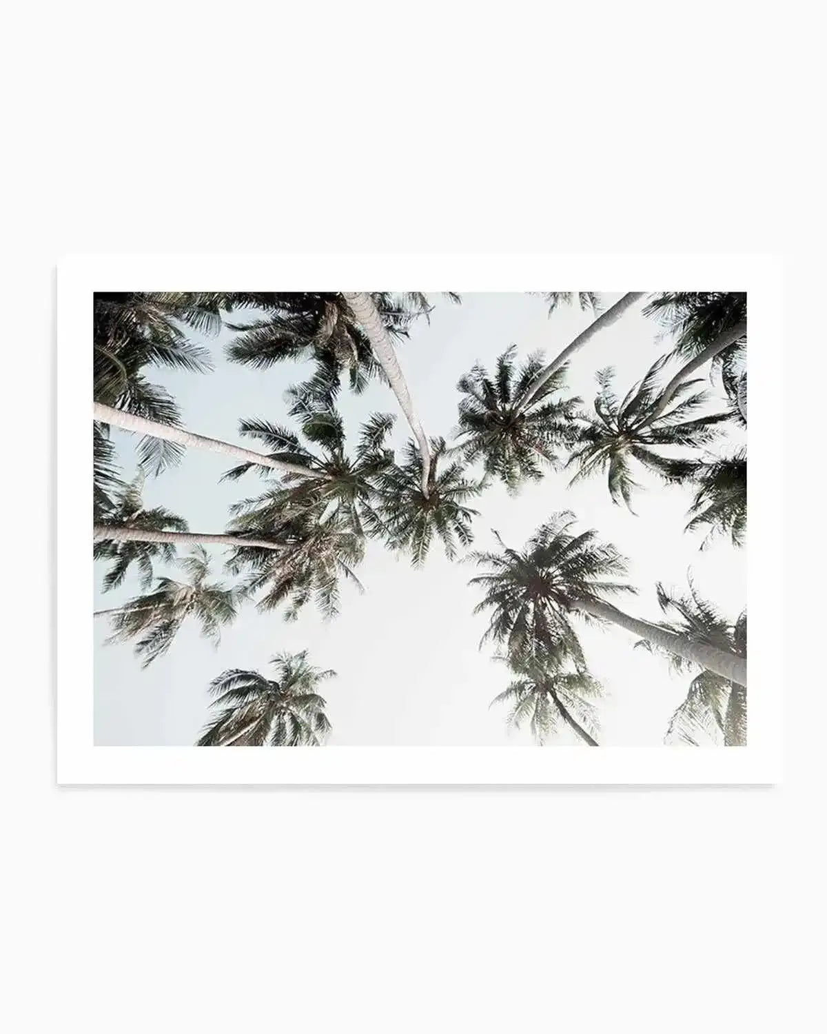 Vintage Palms LS Art Print from Olive et Oriel where you can shop wallpaper and artworks online