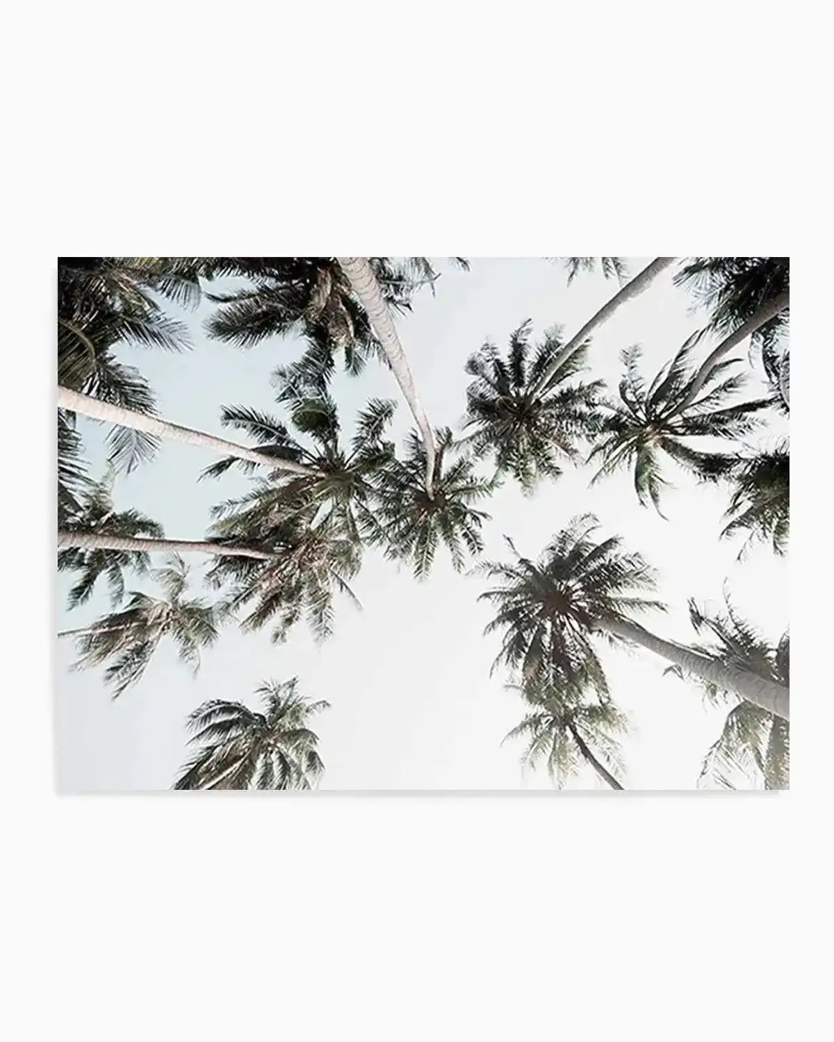 Vintage Palms LS Art Print from Olive et Oriel where you can shop wallpaper and artworks online