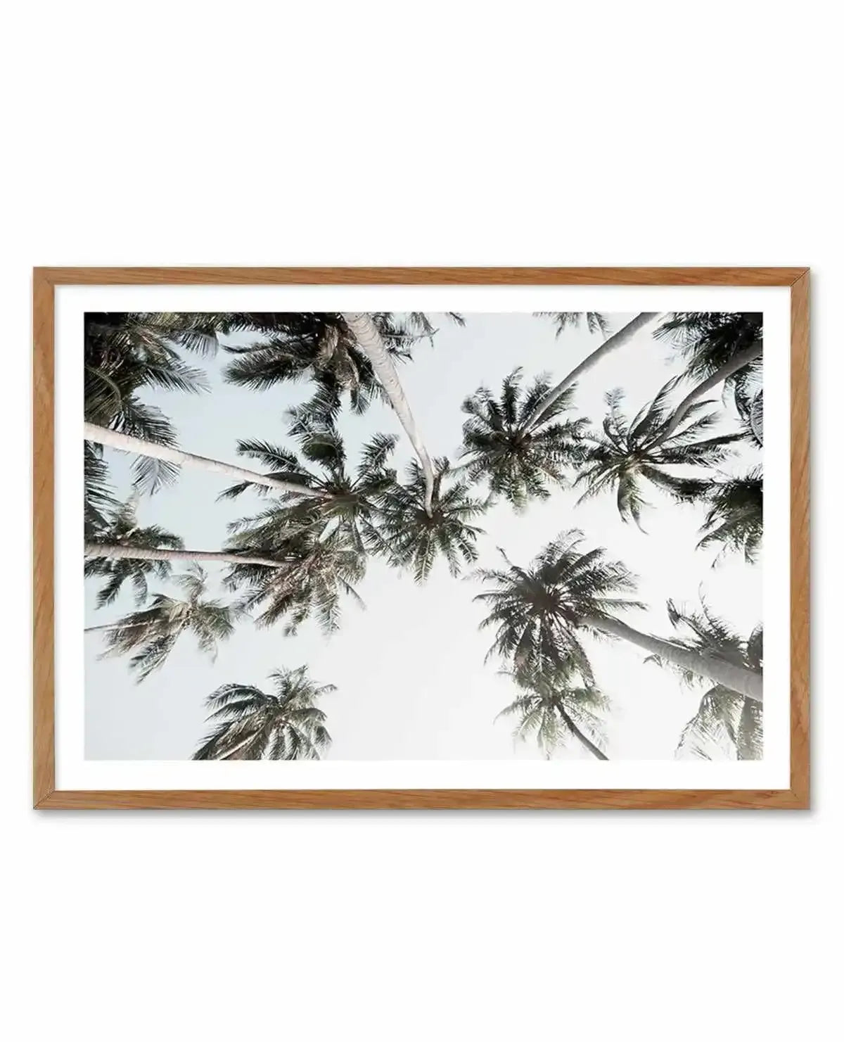 Vintage Palms LS Art Print-PRINT-Olive et Oriel-Olive et Oriel-50x70 cm | 19.6" x 27.5"-Walnut-With White Border-Buy-Australian-Art-Prints-Online-with-Olive-et-Oriel-Your-Artwork-Specialists-Austrailia-Decorate-With-Coastal-Photo-Wall-Art-Prints-From-Our-Beach-House-Artwork-Collection-Fine-Poster-and-Framed-Artwork