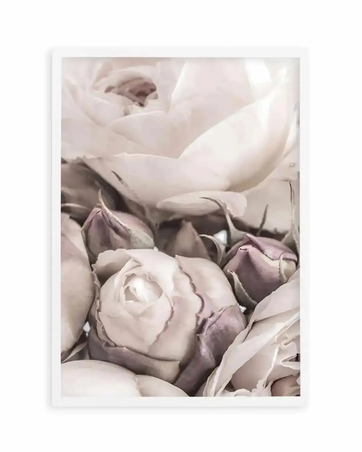 Vintage Roses I Art Print from Olive et Oriel where you can shop wallpaper and artworks online