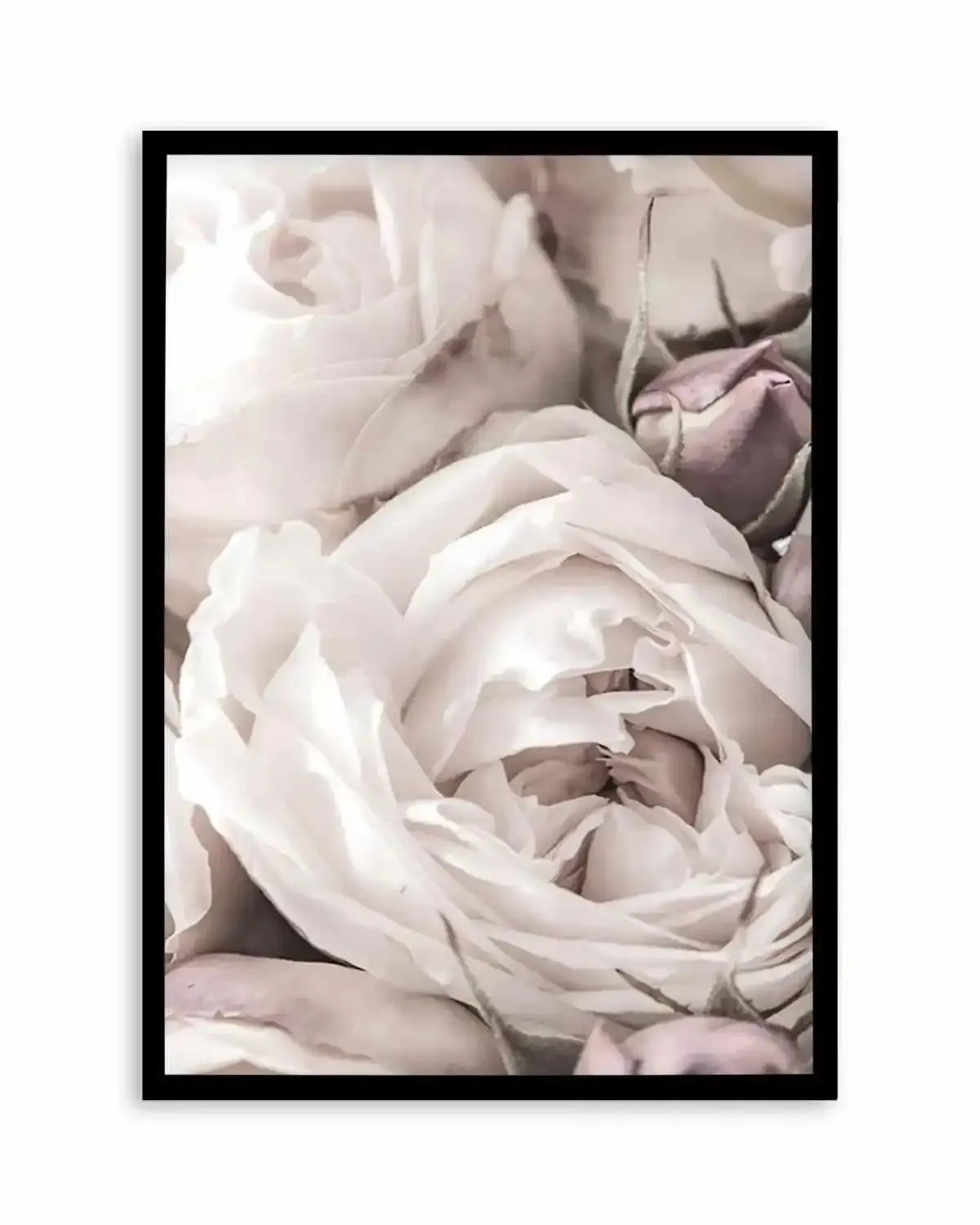 Vintage Roses II Art Print from Olive et Oriel where you can shop wallpaper and artworks online