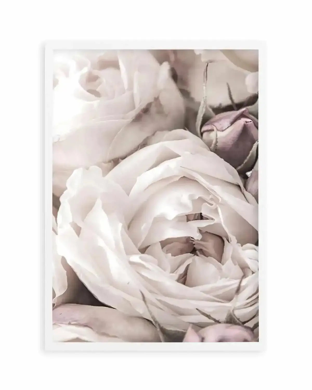 Vintage Roses II Art Print from Olive et Oriel where you can shop wallpaper and artworks online