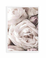 Vintage Roses II Art Print