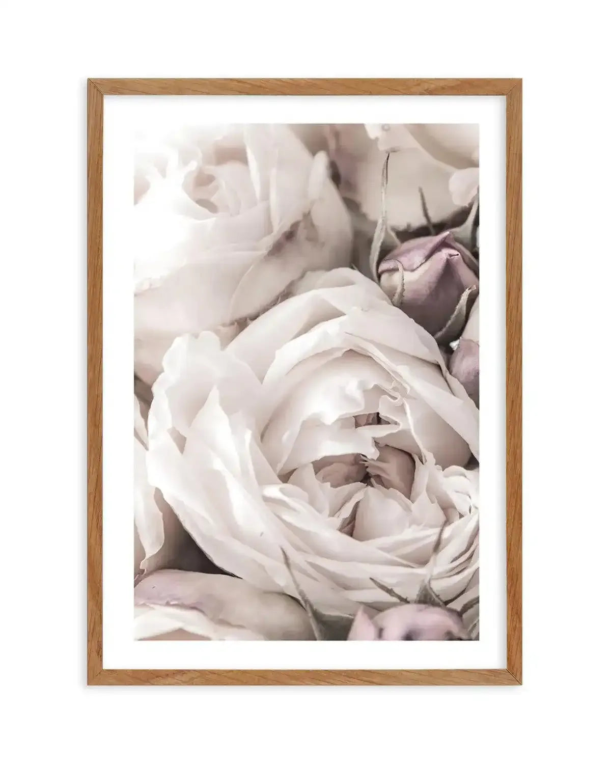 Vintage Roses II Art Print-PRINT-Olive et Oriel-Olive et Oriel-50x70 cm | 19.6" x 27.5"-Walnut-With White Border-Buy-Australian-Art-Prints-Online-with-Olive-et-Oriel-Your-Artwork-Specialists-Austrailia-Decorate-With-Coastal-Photo-Wall-Art-Prints-From-Our-Beach-House-Artwork-Collection-Fine-Poster-and-Framed-Artwork