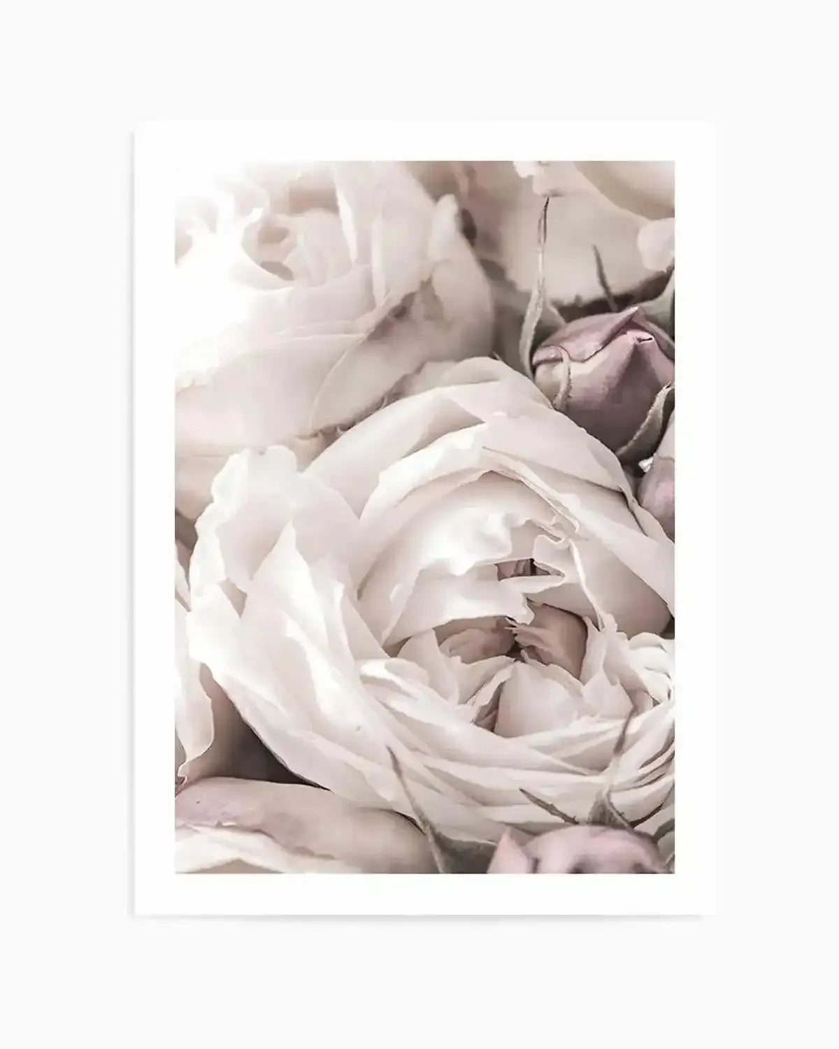 Vintage Roses II Art Print from Olive et Oriel where you can shop wallpaper and artworks online