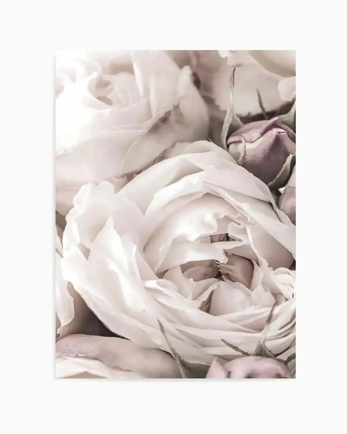 Vintage Roses II Art Print from Olive et Oriel where you can shop wallpaper and artworks online