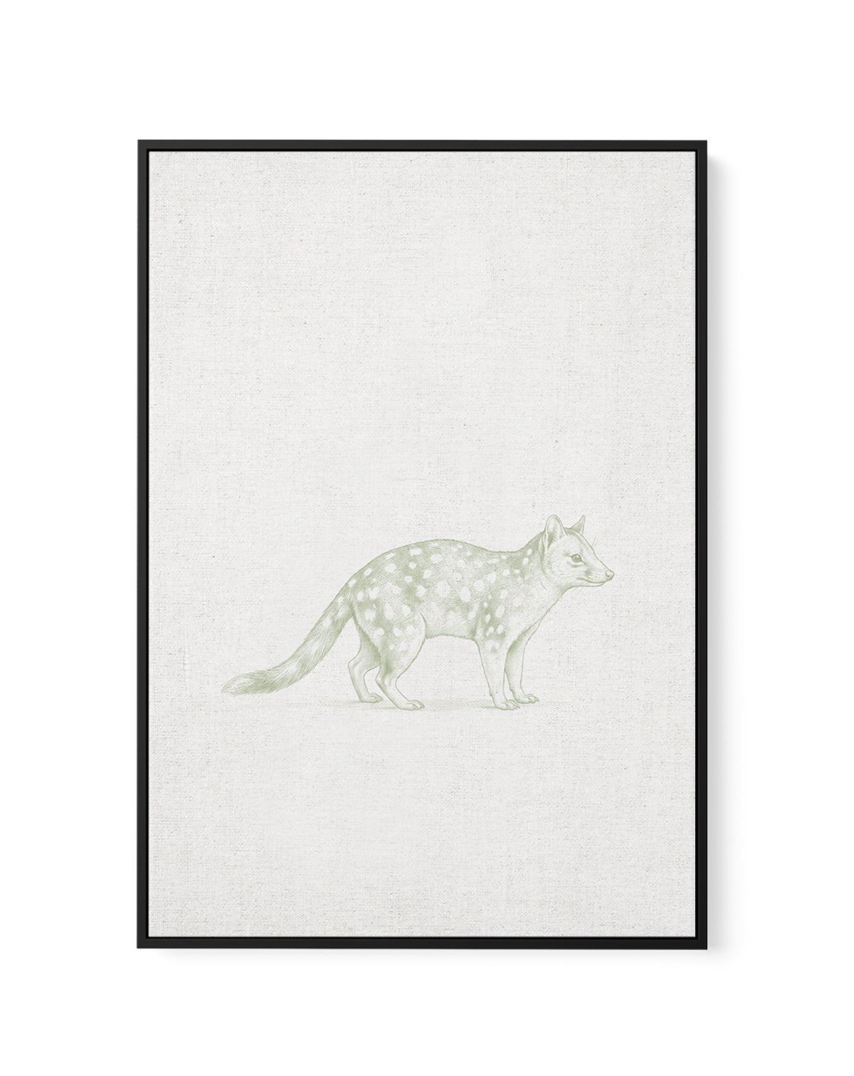 Vintage Spotted Quoll Australian Animals on Linen | Framed Canvas Art Print