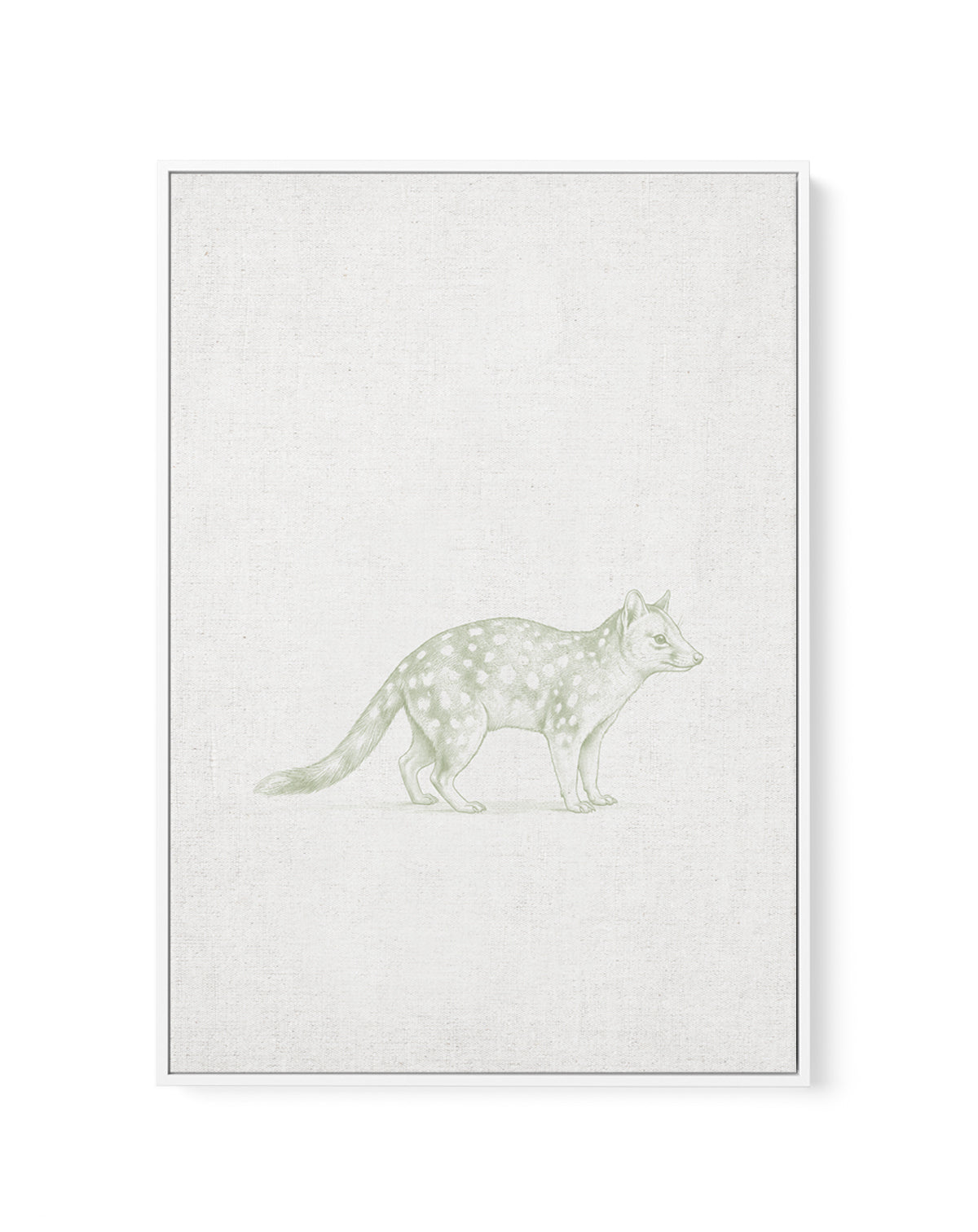 Vintage Spotted Quoll Australian Animals on Linen | Framed Canvas Art Print