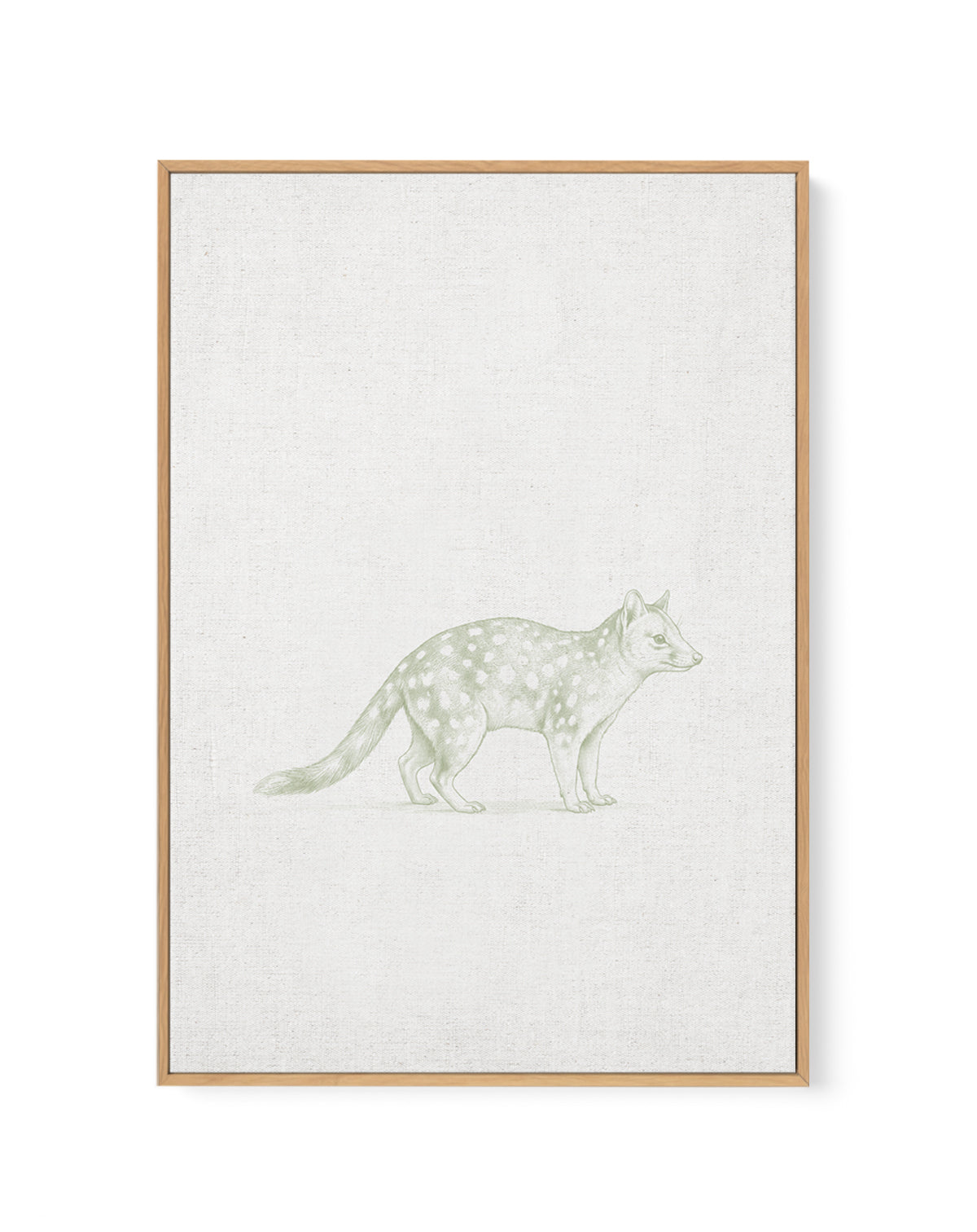 Vintage Spotted Quoll Australian Animals on Linen | Framed Canvas Art Print