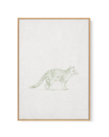 Vintage Spotted Quoll Australian Animals on Linen | Framed Canvas Art Print