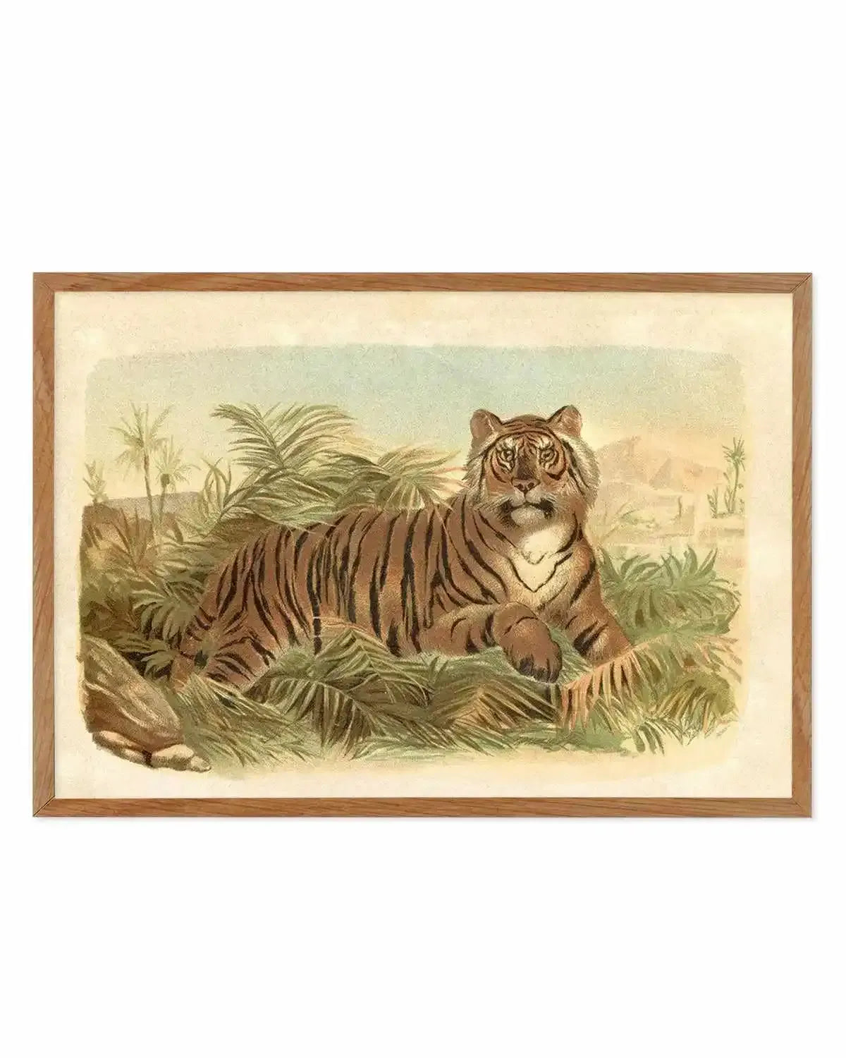 Vintage Tiger I Art Print from Olive et Oriel where you can shop wallpaper and artworks online