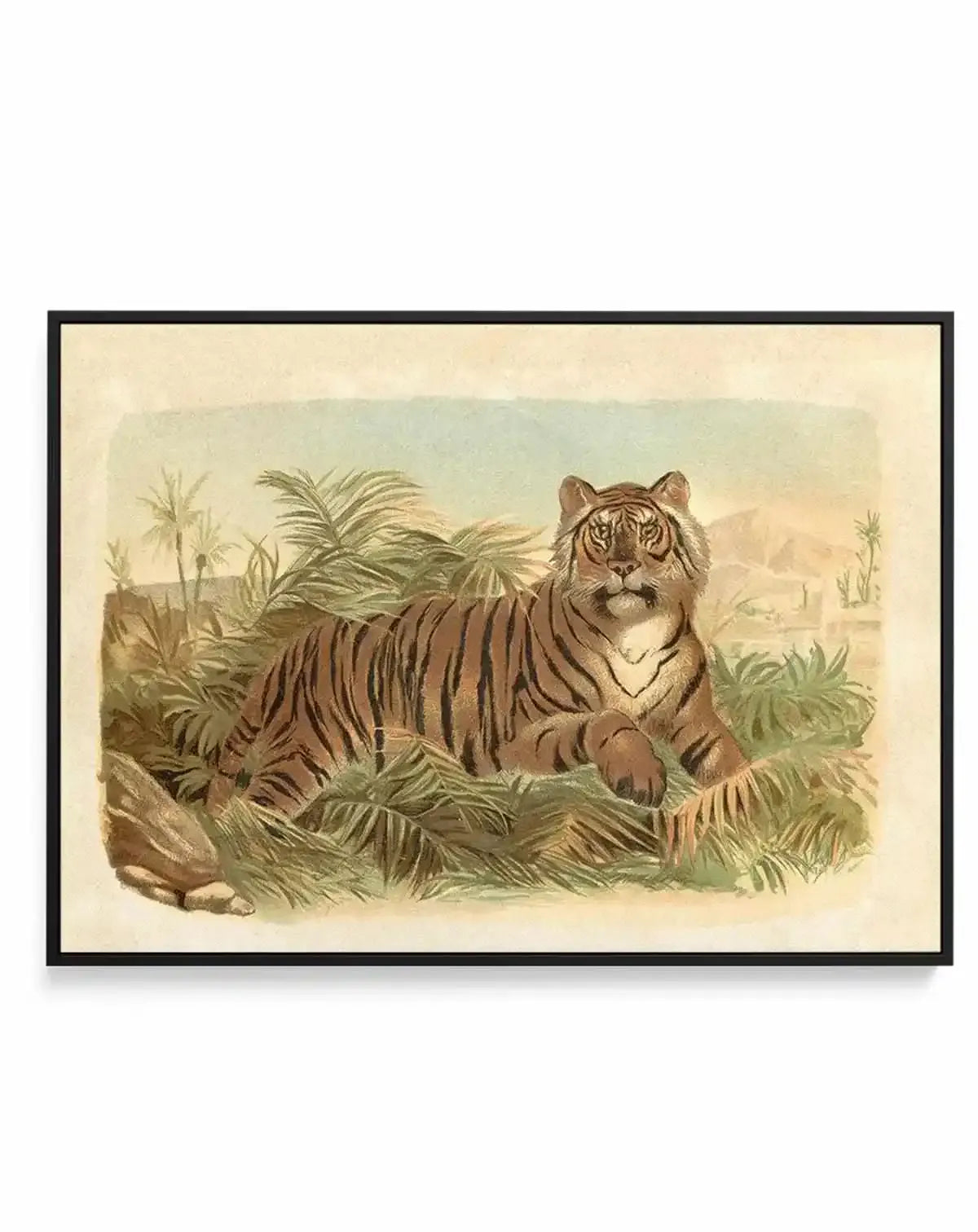 Vintage Tiger I | Framed Canvas Art Print from Olive et Oriel where you can shop wallpaper and artworks online