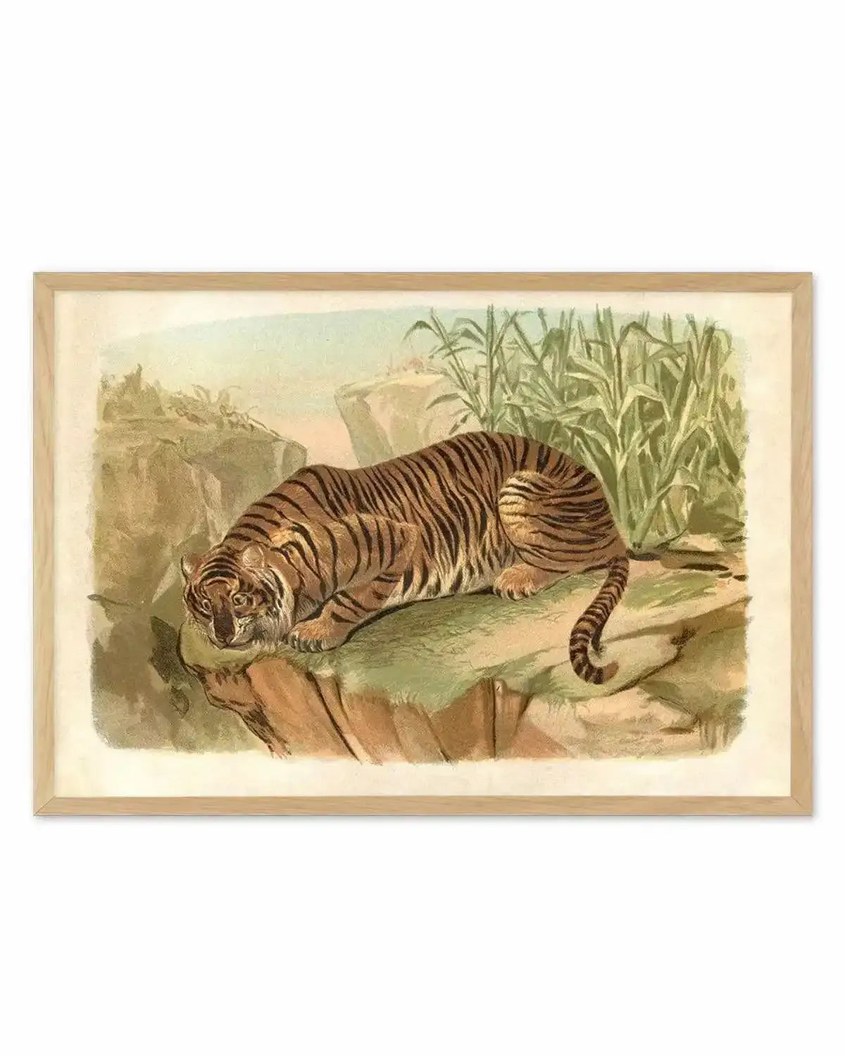 Vintage Tiger II Art Print from Olive et Oriel where you can shop wallpaper and artworks online