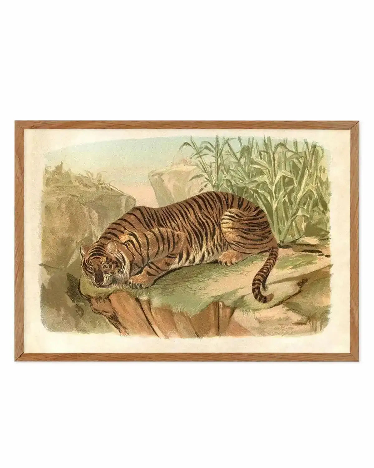 Vintage Tiger II Art Print from Olive et Oriel where you can shop wallpaper and artworks online