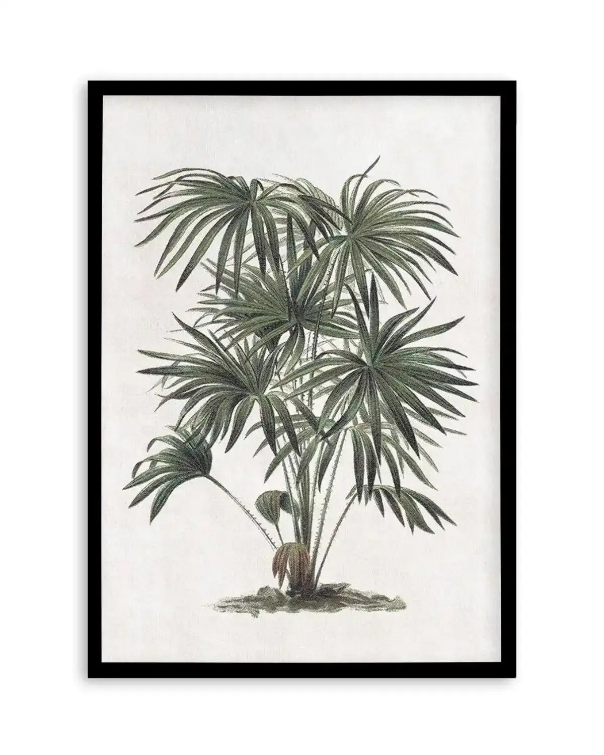 Vintage Tropics I Art Print from Olive et Oriel where you can shop wallpaper and artworks online