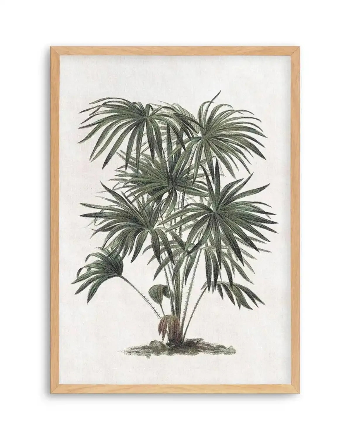 Vintage Tropics I Art Print from Olive et Oriel where you can shop wallpaper and artworks online