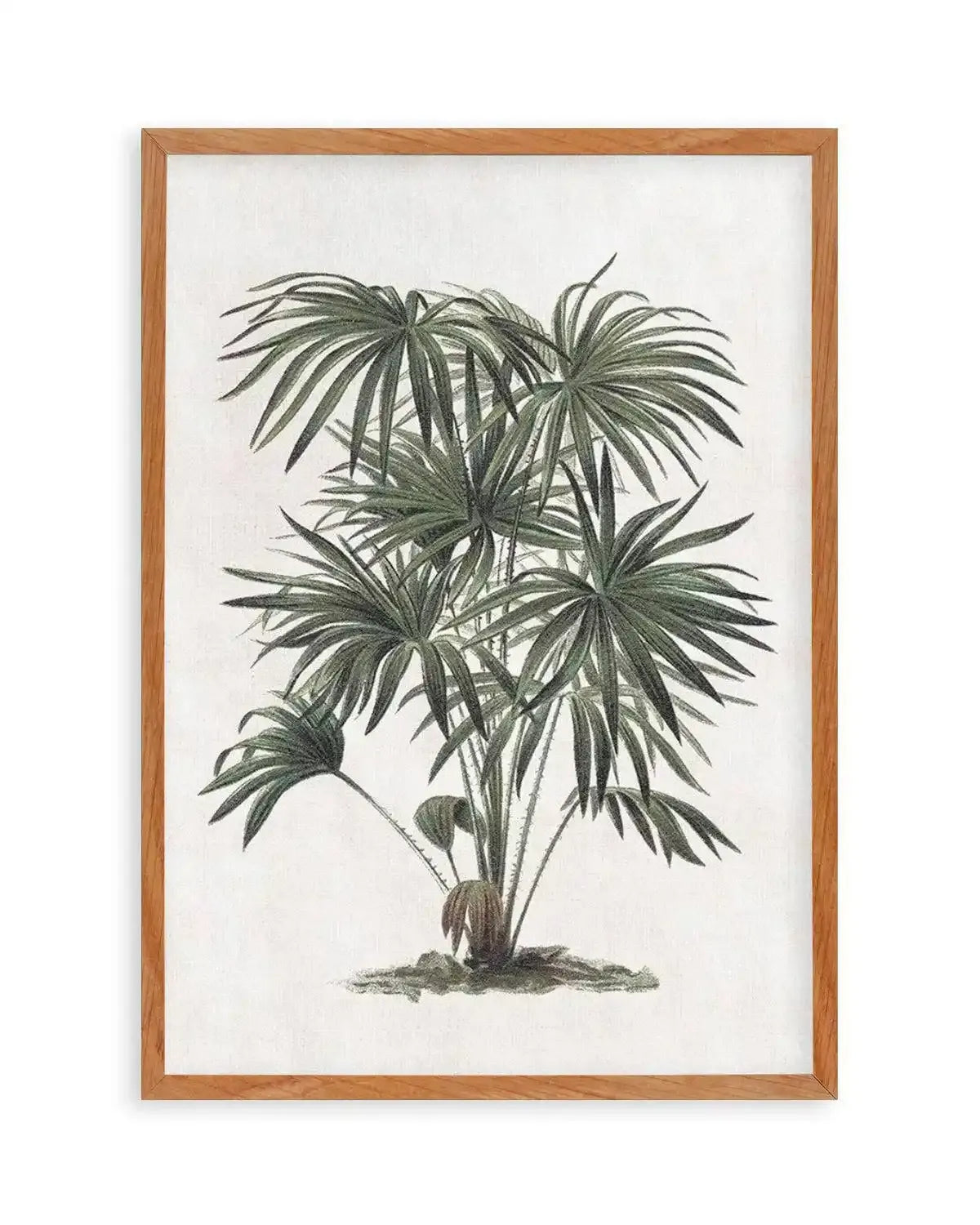 Vintage Tropics I Art Print from Olive et Oriel where you can shop wallpaper and artworks online