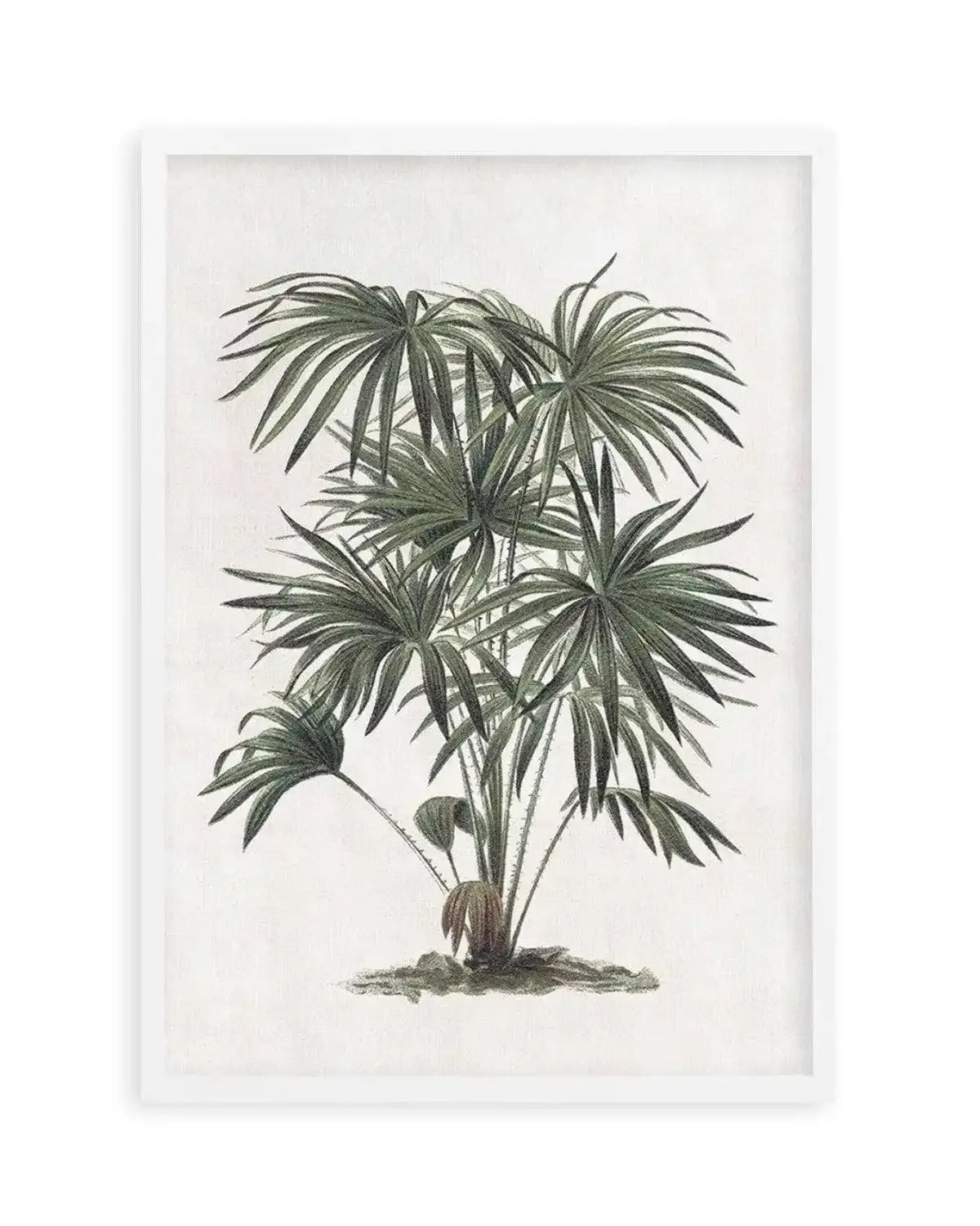 Vintage Tropics I Art Print from Olive et Oriel where you can shop wallpaper and artworks online