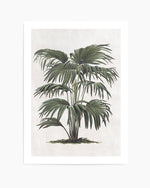 Vintage Tropics II Art Print