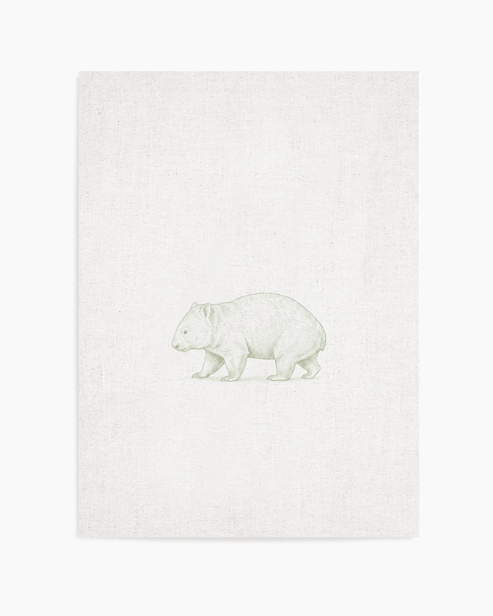Vintage Wombat Australian Animals on Linen | Art Print