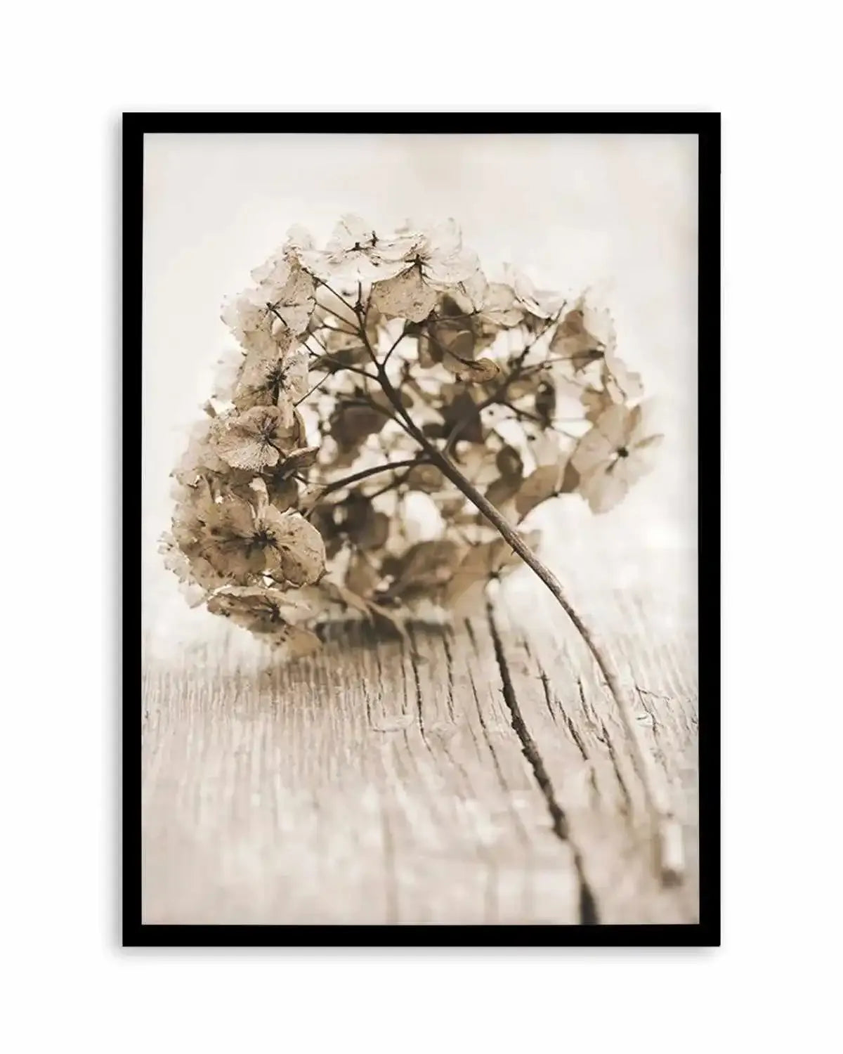 Vintage hydrangea Art Print from Olive et Oriel where you can shop wallpaper and artworks online