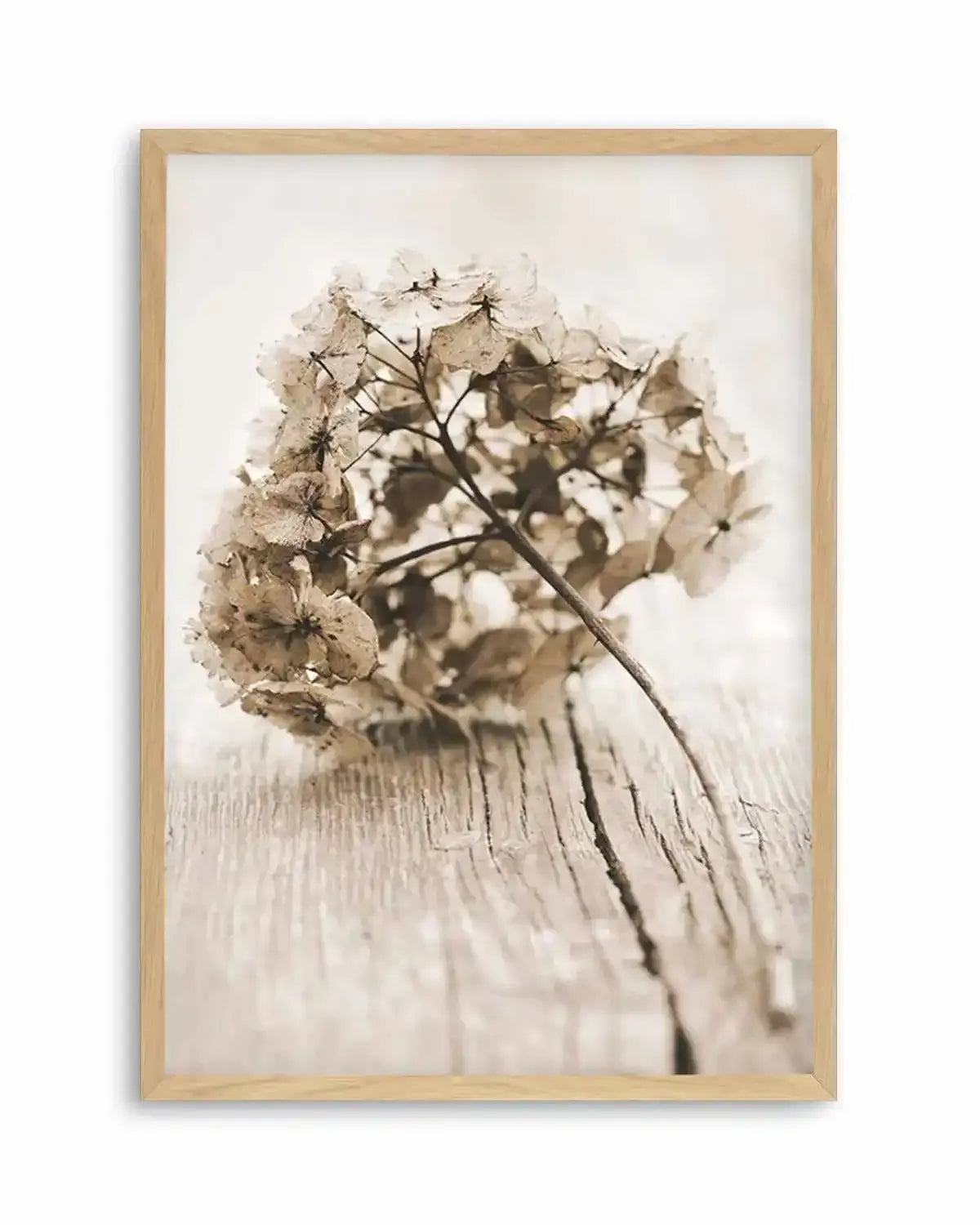 Vintage hydrangea Art Print from Olive et Oriel where you can shop wallpaper and artworks online