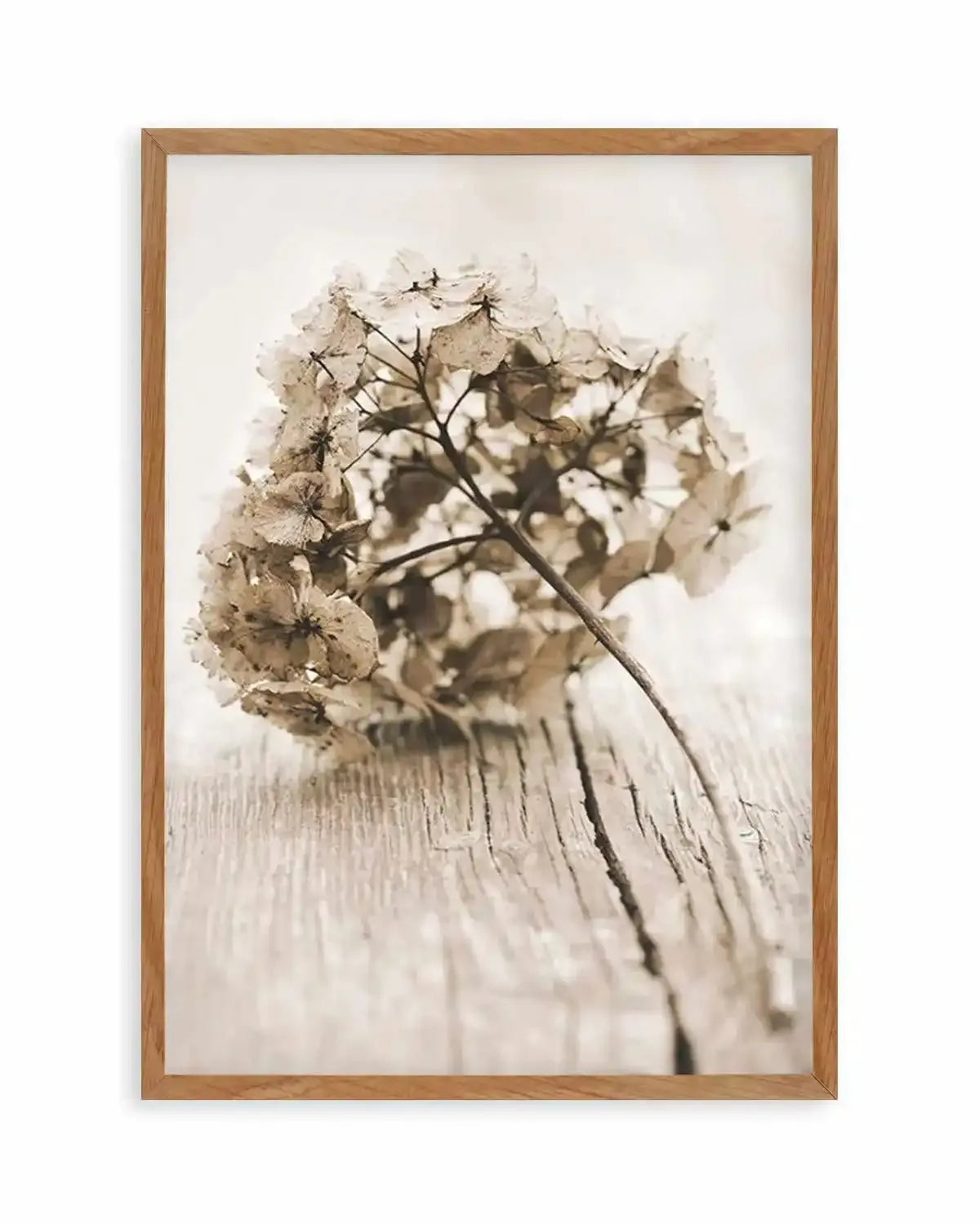 Vintage hydrangea Art Print from Olive et Oriel where you can shop wallpaper and artworks online