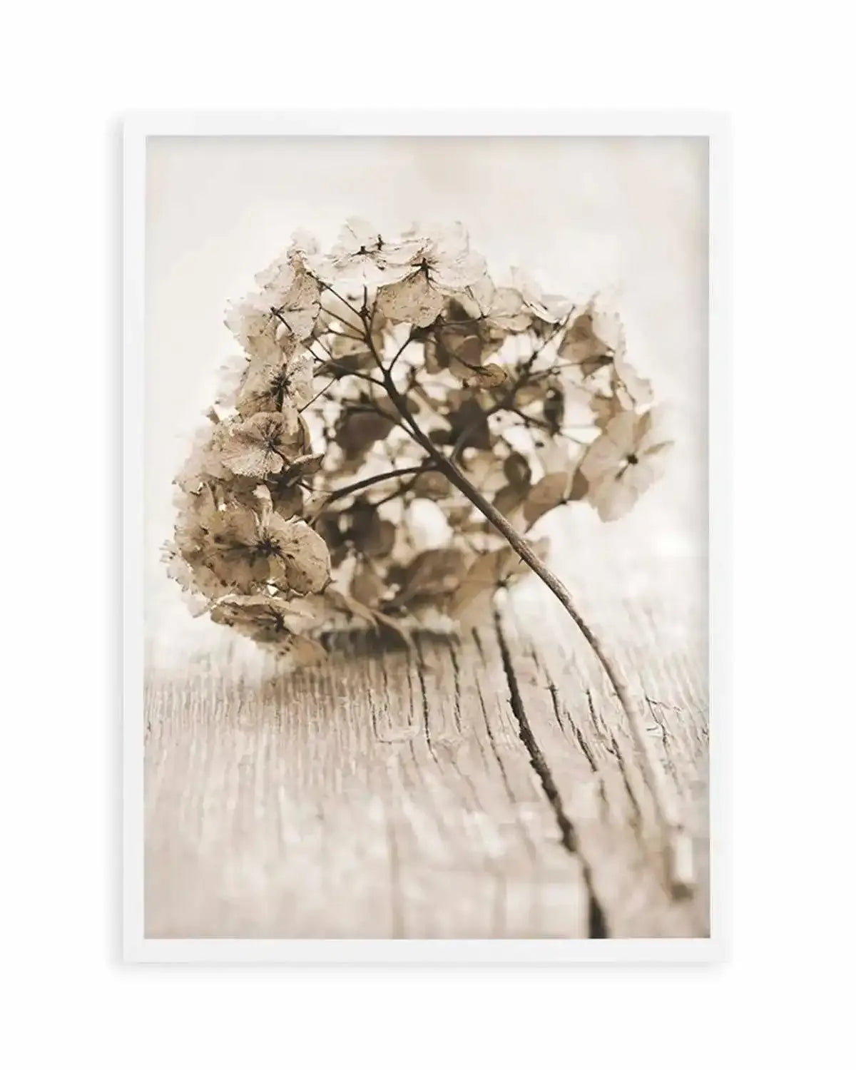 Vintage hydrangea Art Print from Olive et Oriel where you can shop wallpaper and artworks online