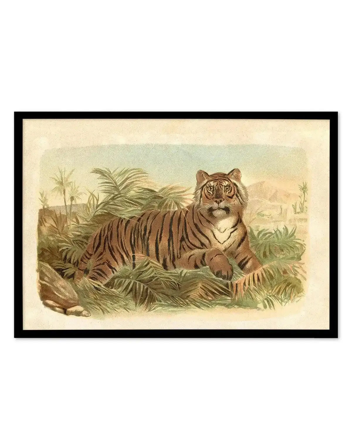 Vintage Tiger I Art Print-PRINT-Olive et Oriel-Olive et Oriel-Buy-Australian-Art-Prints-Online-with-Olive-et-Oriel-Your-Artwork-Specialists-Austrailia-Decorate-With-Coastal-Photo-Wall-Art-Prints-From-Our-Beach-House-Artwork-Collection-Fine-Poster-and-Framed-Artwork