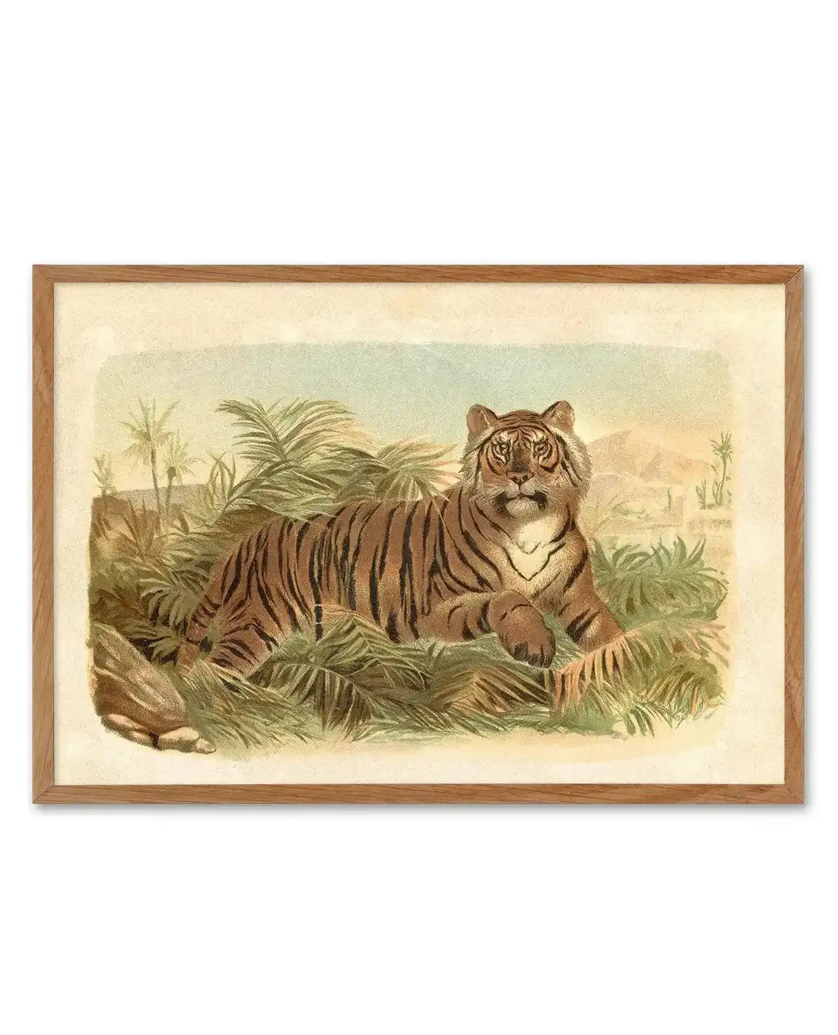 Vintage Tiger I Art Print-PRINT-Olive et Oriel-Olive et Oriel-Buy-Australian-Art-Prints-Online-with-Olive-et-Oriel-Your-Artwork-Specialists-Austrailia-Decorate-With-Coastal-Photo-Wall-Art-Prints-From-Our-Beach-House-Artwork-Collection-Fine-Poster-and-Framed-Artwork