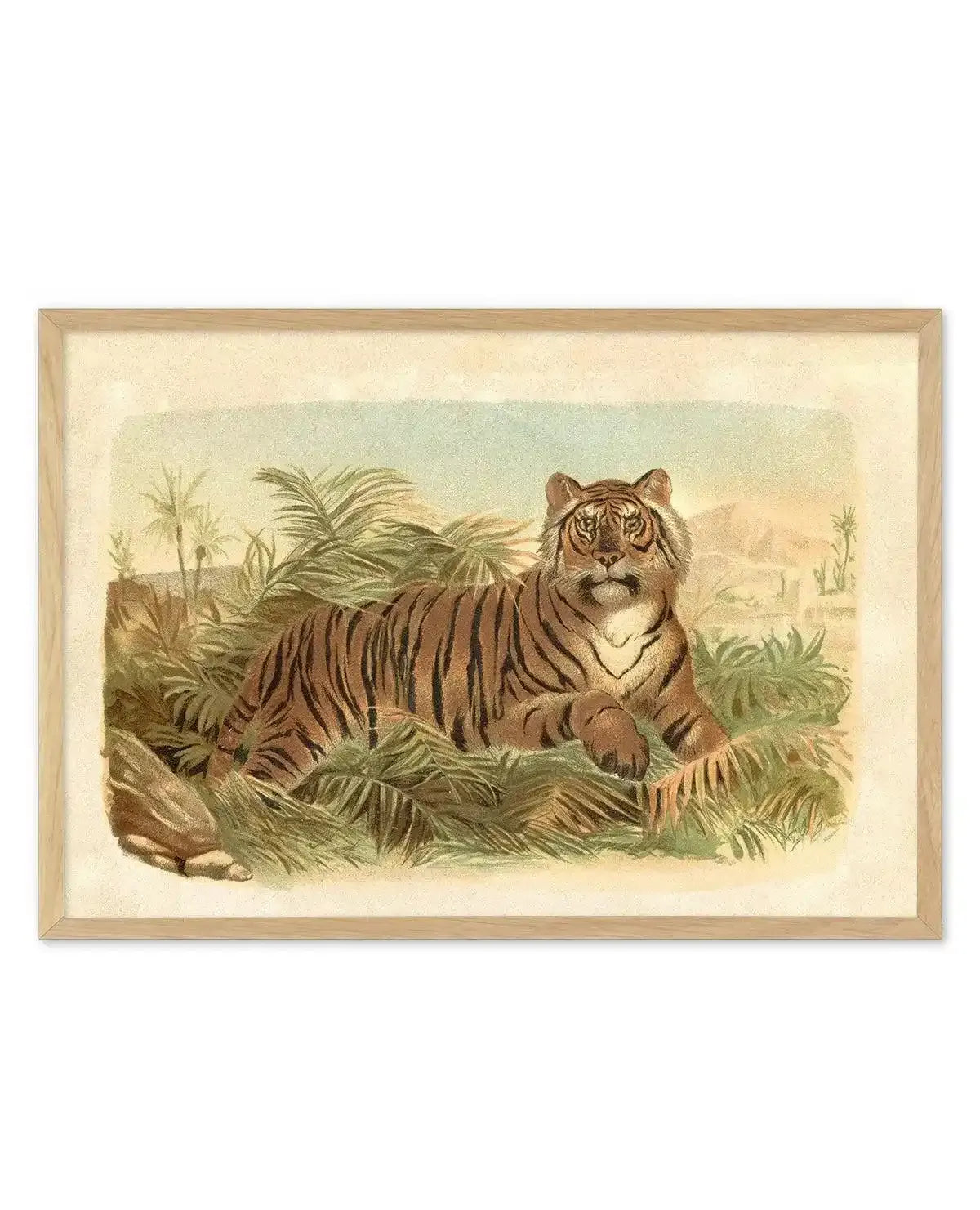 Vintage Tiger I Art Print-PRINT-Olive et Oriel-Olive et Oriel-Buy-Australian-Art-Prints-Online-with-Olive-et-Oriel-Your-Artwork-Specialists-Austrailia-Decorate-With-Coastal-Photo-Wall-Art-Prints-From-Our-Beach-House-Artwork-Collection-Fine-Poster-and-Framed-Artwork