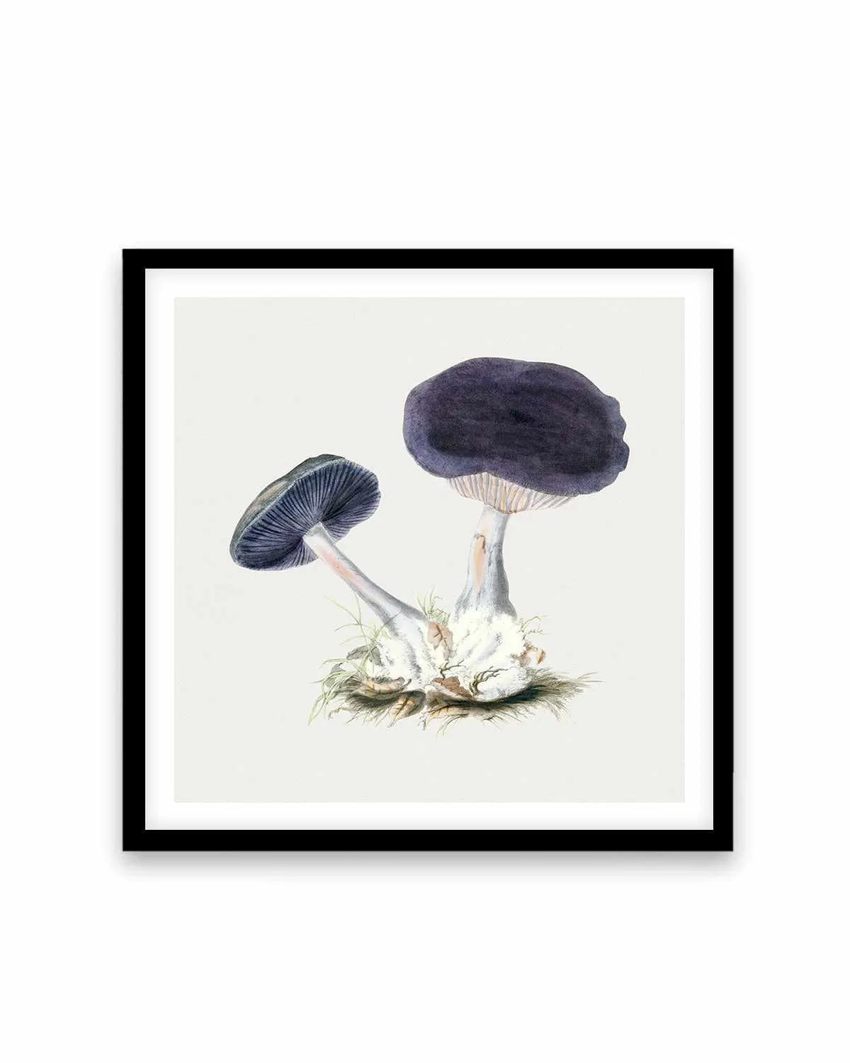 Violet Mushroom Vintage Illustration Art Print from Olive et Oriel where you can shop wallpaper and artworks online