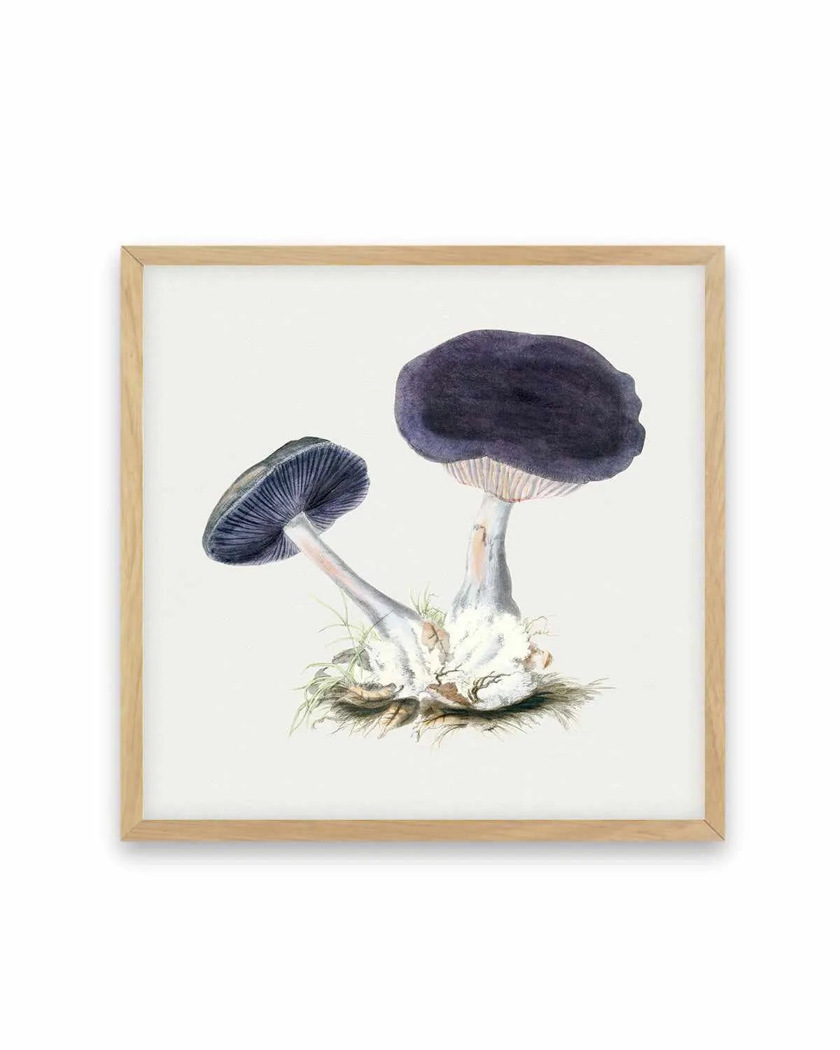 Violet Mushroom Vintage Illustration Art Print from Olive et Oriel where you can shop wallpaper and artworks online