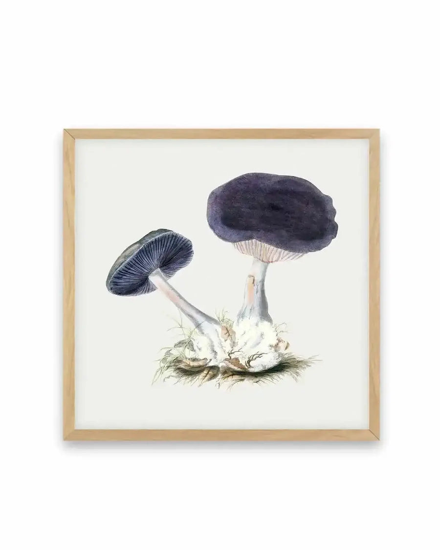 Violet Mushroom Vintage Illustration Art Print from Olive et Oriel where you can shop wallpaper and artworks online