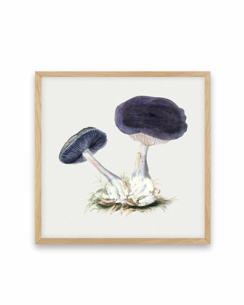 Violet Mushroom Vintage Illustration Art Print