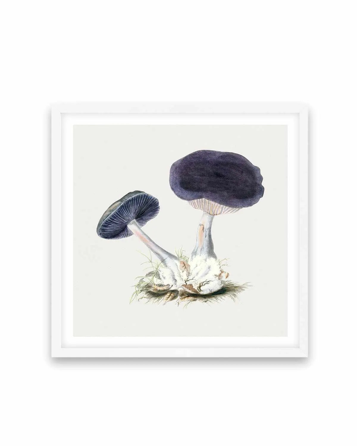 Violet Mushroom Vintage Illustration Art Print from Olive et Oriel where you can shop wallpaper and artworks online