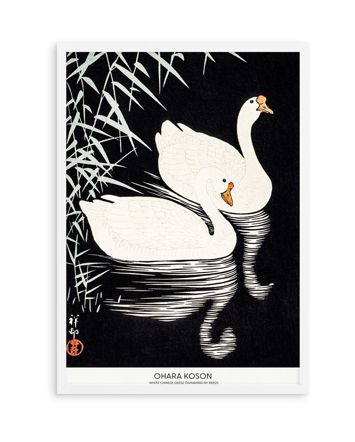 White Chinese Geese Swimming by Reeds | Art Print