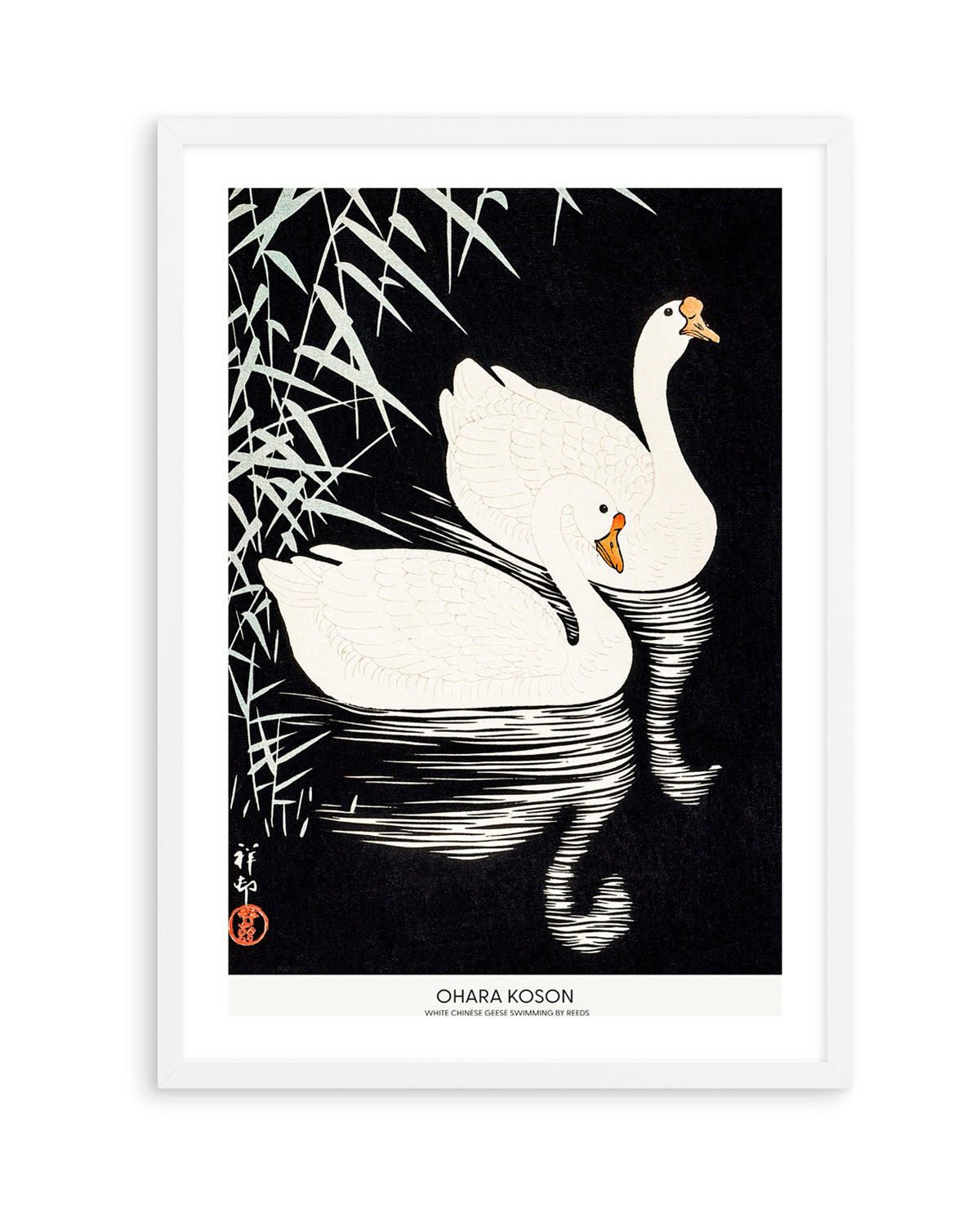 White Chinese Geese Swimming by Reeds | Art Print