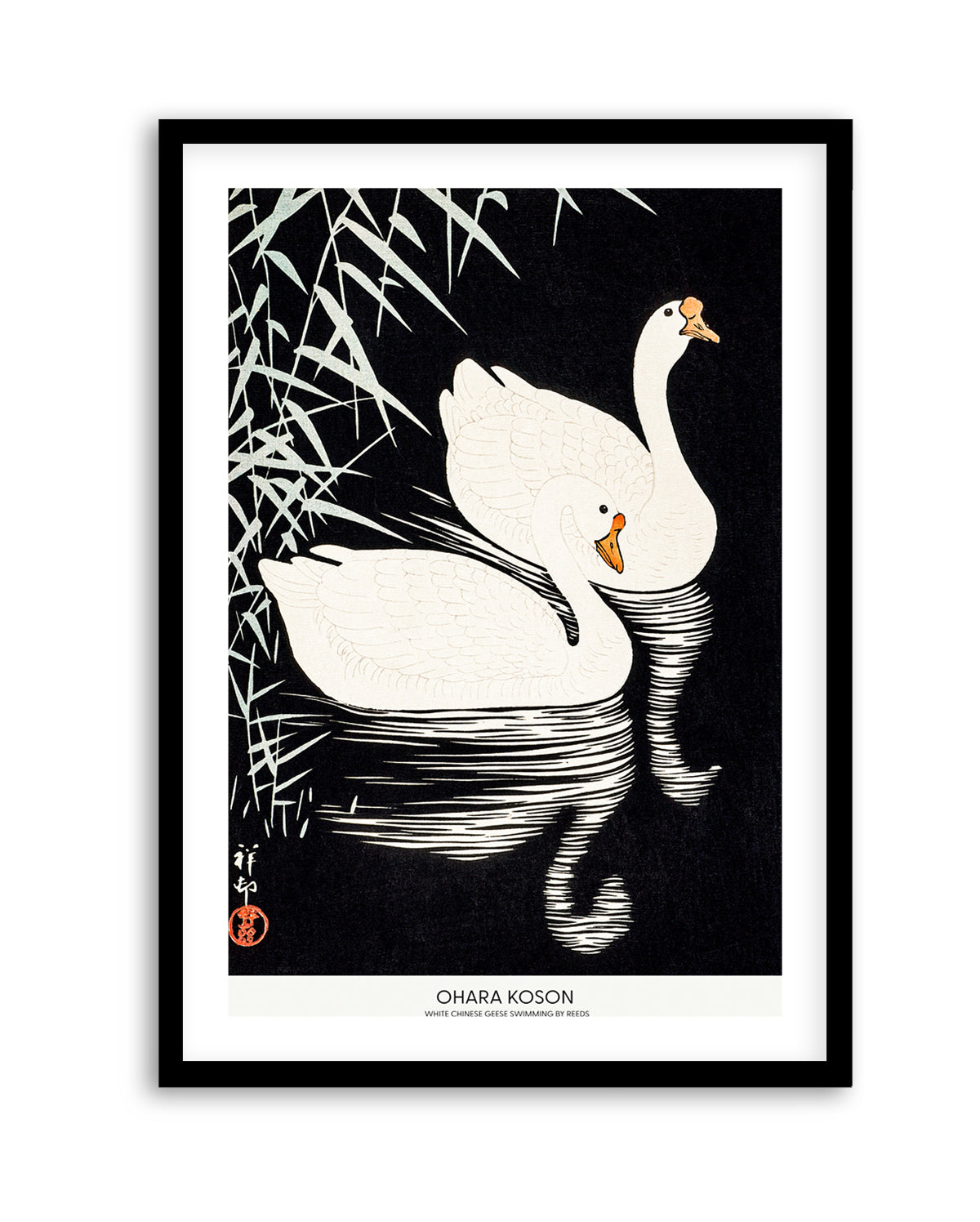 White Chinese Geese Swimming by Reeds | Art Print