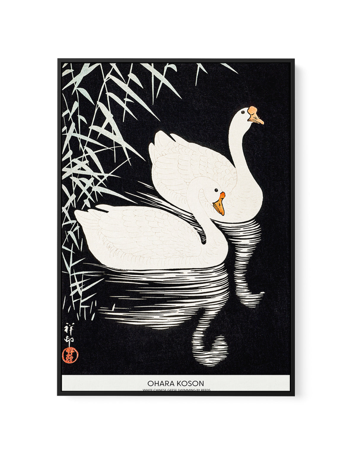 White Chinese Geese Swimming by Reeds | Framed Canvas Art Print