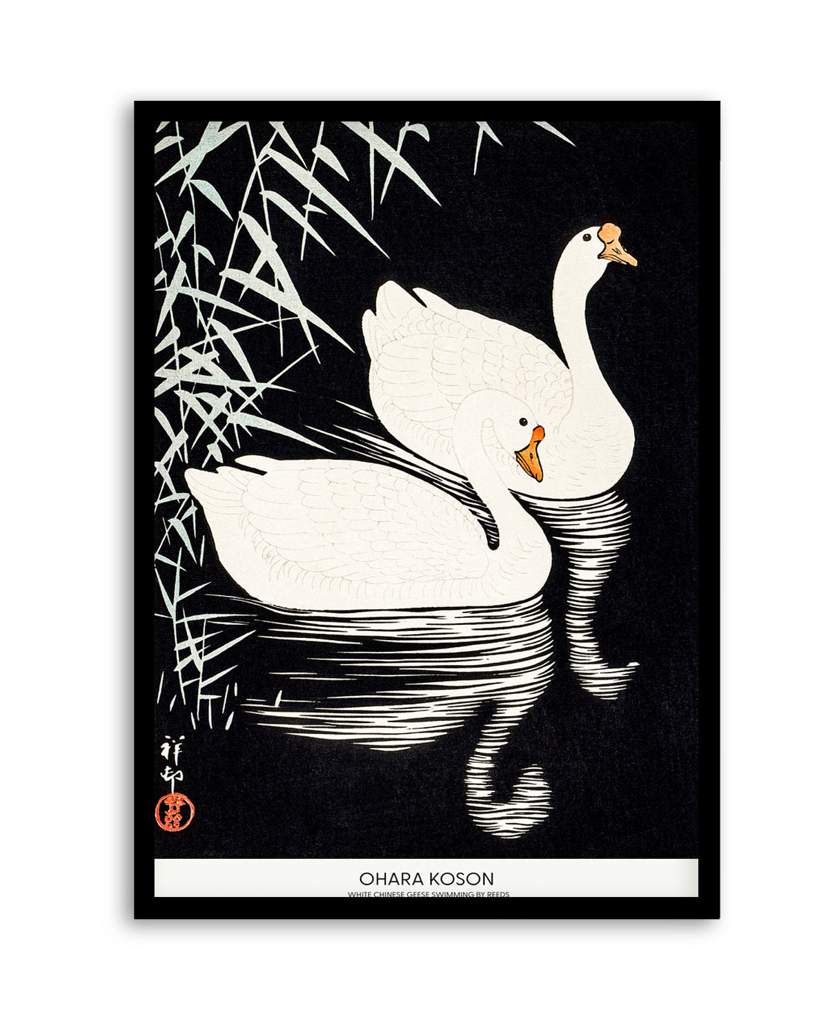 White Chinese Geese Swimming by Reeds | Art Print