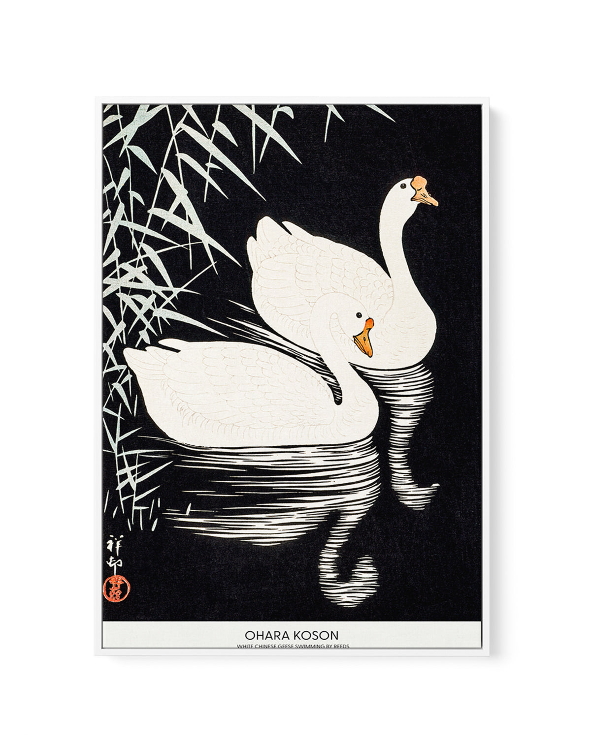 White Chinese Geese Swimming by Reeds | Framed Canvas Art Print