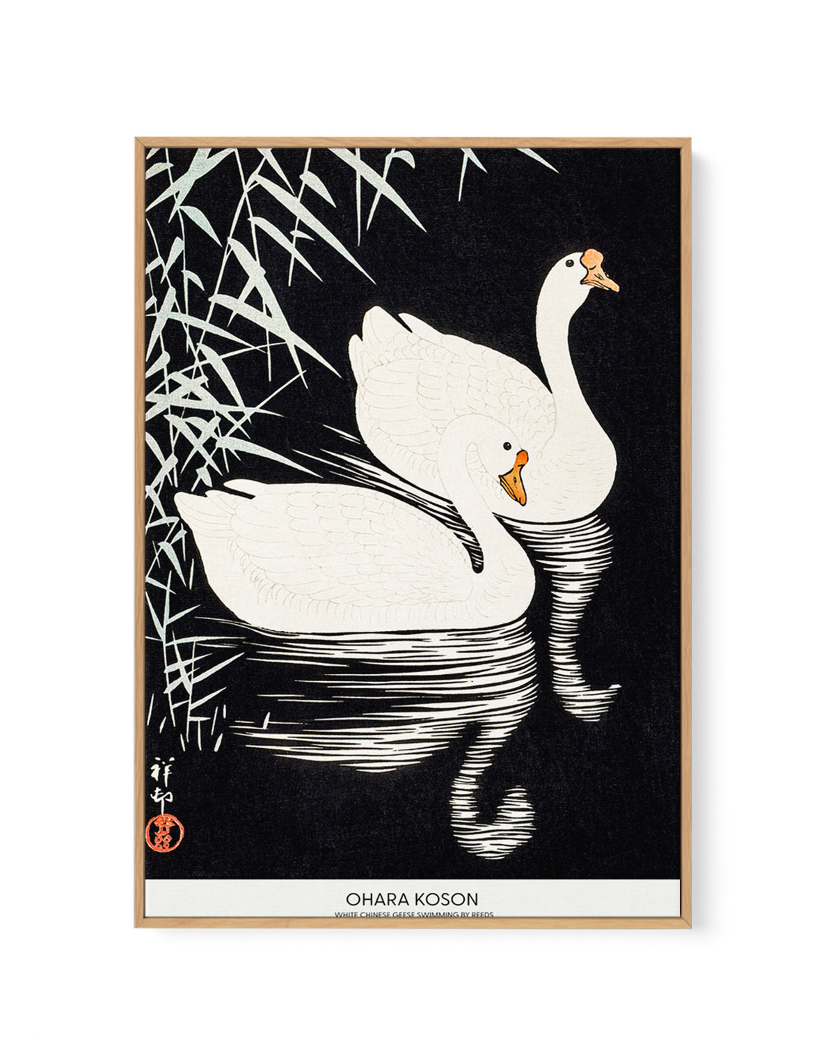 White Chinese Geese Swimming by Reeds | Framed Canvas Art Print